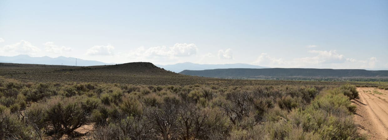 70706360 Costilla CO 12