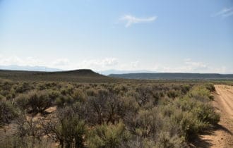 70706360 Costilla CO 12