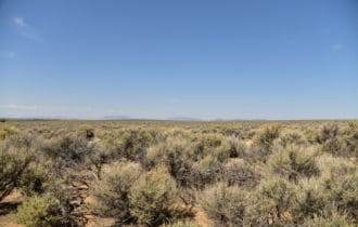 70706360 Costilla CO 9