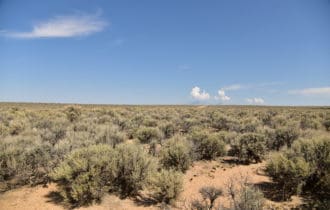 70706360 Costilla CO 8