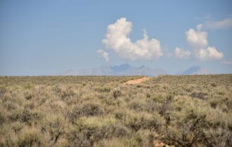 70706360 Costilla CO 6