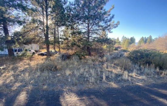 Treed Corner Lot And Quick Walk To Lake!