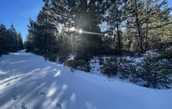 Pines And Seclusion Equals The Perfect 2.30 Acre Mountain Retreat!