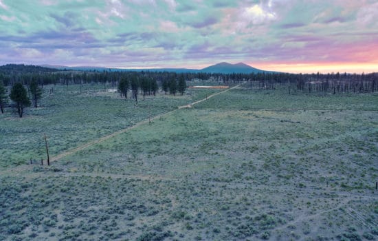 Cleared & Level  Oregon Parcel Is Ready For Cultivation – Power Nearby!