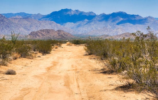 2.03 Acres Of Arizona Majesty With Panoramic Mountain Views Bordering 15,278 Acres Of Public Lands