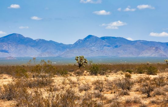 80 Acres Of Arizona Paradise With Power At Property, Panoramic Mountain Vistas, And Miles & Miles Of Public Lands Nearby!