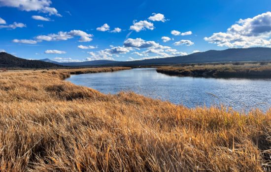 Riverfront Dream With Power and Septic Ready To Go – No HOA!