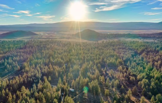 Outdoorsman’s Dream: Secluded, Beautifully Treed, Level Parcel With Power, Mountain Views, Plus Close To National Forest!