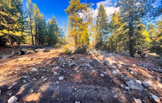 Nearly 6 Acres Of Luscious Oregon Pines With Power Closeby And Multiple Sites For Your Own Private Retreat!