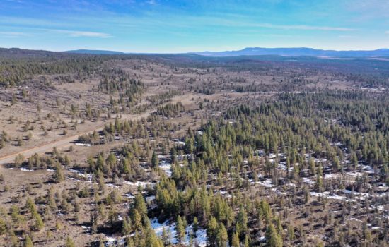 2.40-Acre Pine Treed Oregon Retreat With Multiple Build Sites And Only A Short Walk To Public Lands!