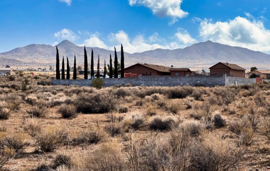Affordable Golf Country Club Living and 300 Days of Sunshine a Year!￼