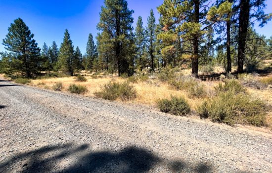 2.03-Acre Level, Buildable Getaway! Escape To The Great Outdoors With Mountain Views, Plenty Of Trees, And A Short Walk To Over 18,910 Acres Of Public Lands! Power Close By And Roads Maintained Year-Round.