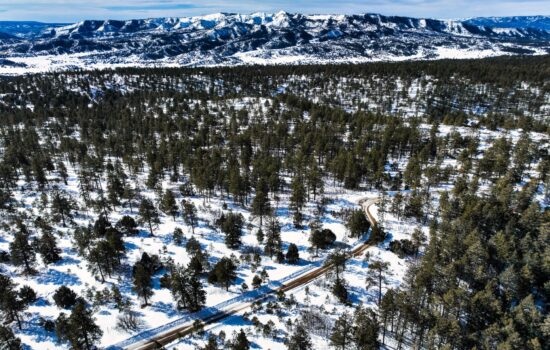 Discover Your Own Slice of Colorado Paradise on this 1.08 Acre Property near Pagosa Springs!